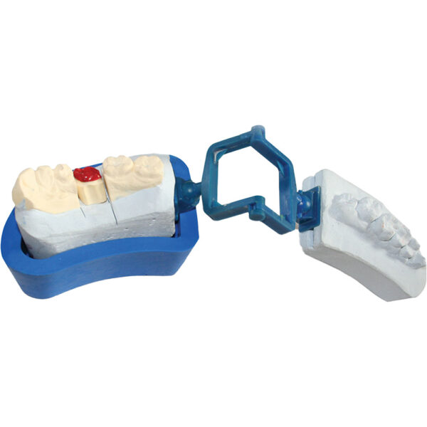 Articulator